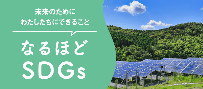SDGs