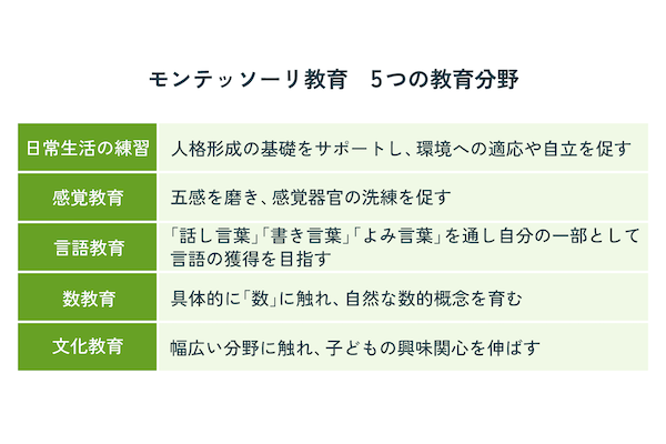 モンテッソーリ教育の5つの教育分野