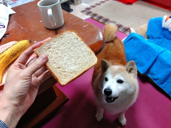 朝食