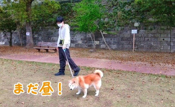 散歩