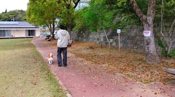 帰宅