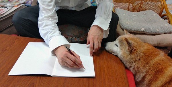 ひらがなを書いてみる