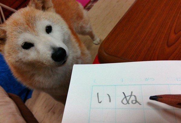 周りのものを書いてみた