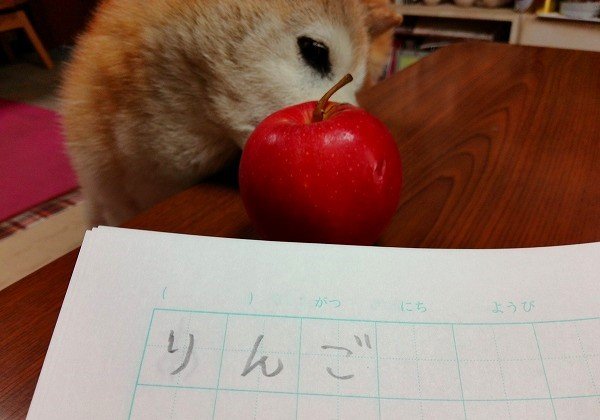 「りんご」と書いてみる