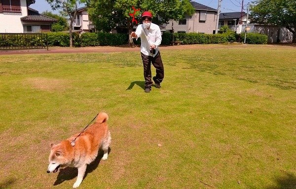 赤白帽をかぶって散歩