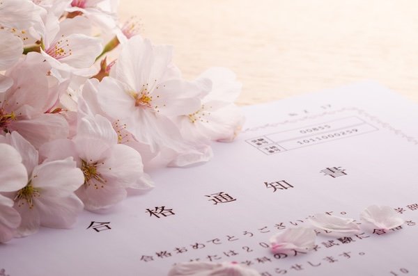 合格通知書と桜