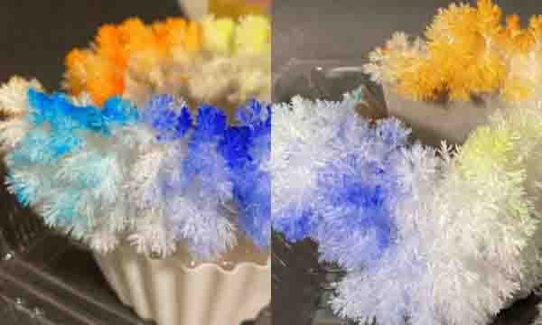 園芸用の肥料で作るもこもこの結晶