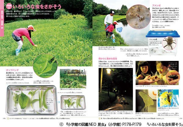 親子で楽しめるのは小学館NEO