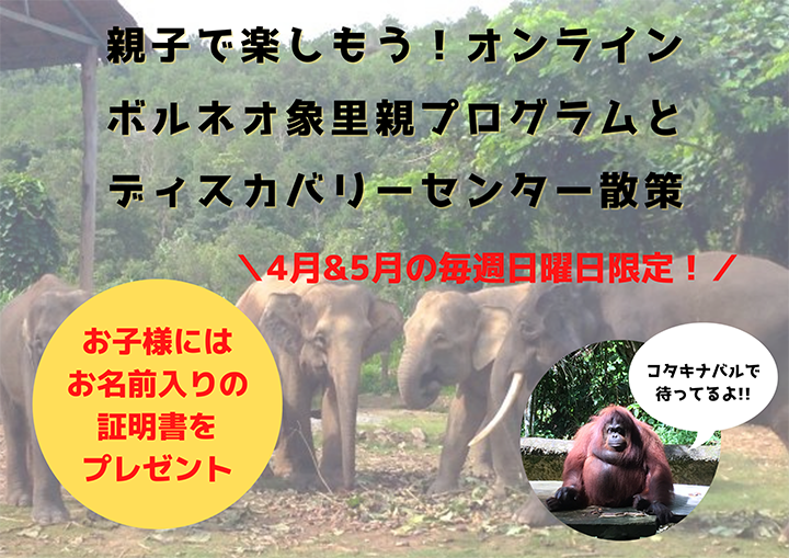 ボルネオ里親プログラムとディスカバリーセンター散策