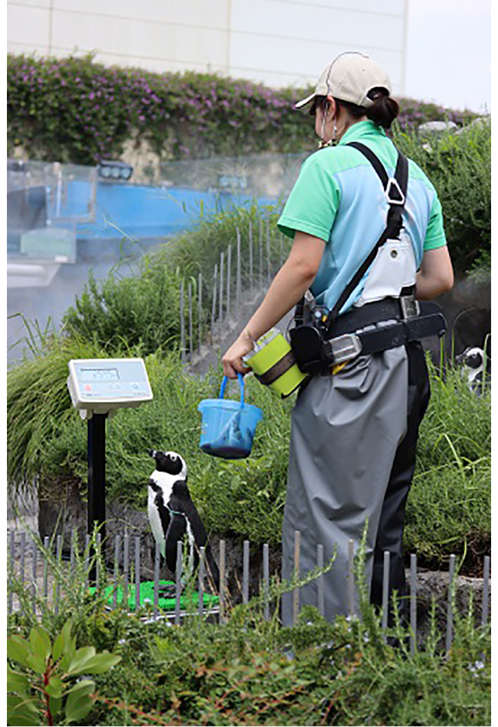 ペンギン「サンシャイン水族館」