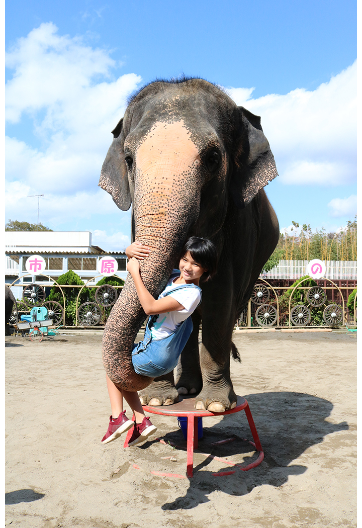 ぞう「ANIMAL WONDER REZOURT」